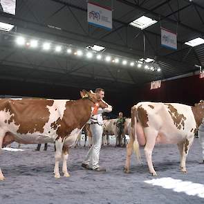 Barendonk Paulina 188, een Fraiko-dochter van Hermanussen werd op basis van haar ondiepere uier voor Heerenbrink Truus 4 geplaatst. Beide koeien hebben overigens in de tweede lijst een fantastisch eiwitgehalte van boven de 4 procent gerealiseerd, waarbij