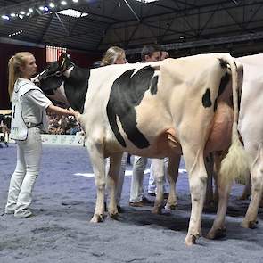 De jonge zwartbonten in de eerste rubriek kregen een sterk kopnummer met Peak Rubicon Fran, een in Groot-Brittannië gefokte dochter van Rubicon van de familie Hoekstra uit Oudkerk. De jeugdige, correct gebouwde vaars is prachtig in balans en bezit een uit