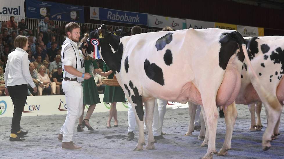 De laatste rubriek was een prooi voor HC Goldchip Par van de familie Vries uit Nijbeets. Ze was niet de breedste in deze klasse, maar ze had wel een prachtige uier.