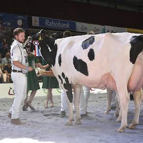 De laatste rubriek was een prooi voor HC Goldchip Par van de familie Vries uit Nijbeets. Ze was niet de breedste in deze klasse, maar ze had wel een prachtige uier.