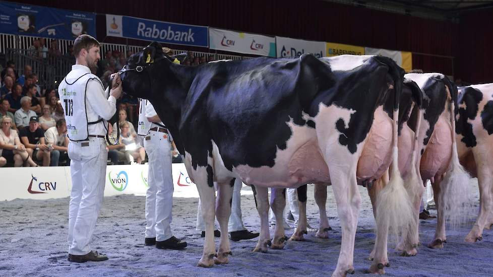 Bij de oude koeien ging het niveau zowel bij zwart- als roodbont nog eens omhoog naar een fantastisch niveau. Hier de kop van rubriek 8, de eerste zwartbonte seniorenrubriek. Voorop Bons-Holsteins Koba 219, de bekende Lauthority-dochter van de combinatie