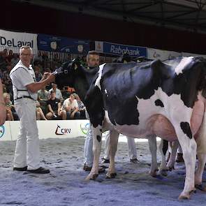 Ook de nummers twee en drie, hier naast elkaar op de foto, waren fraaitypische koeien met ras. De 1B-positie was voor Nellie 391 van de familie Hoftijzer uit Zwartewaal, de 1C voor Margriet 219 van de familie Van Eijl uit Groot-Ammers.