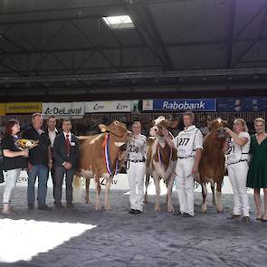 Het kampioenstrio bij de roodbonte senioren: Twente Dairies Apple José 2, Future Dream H. Rosie en Twente Dairies José 421.