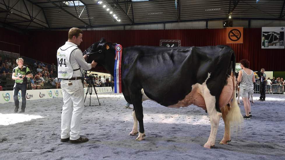 De bekende en niet minder fraaie Drakkar Bulona (v. Lotta Hill Shottle 41) van de combinatie Steegink en Hullcrest Holsteins uit Okkenbroek bezette de tweede plaats.