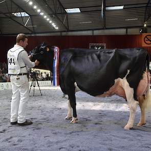 De bekende en niet minder fraaie Drakkar Bulona (v. Lotta Hill Shottle 41) van de combinatie Steegink en Hullcrest Holsteins uit Okkenbroek bezette de tweede plaats.