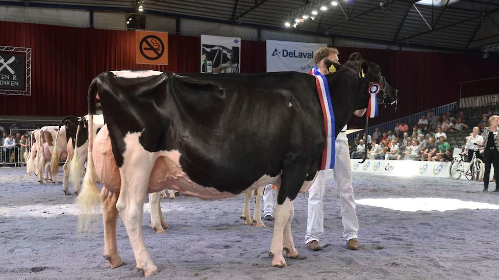 Voorop was het niveau helemaal uitzonderlijk hoog met deze fraaie Bons-Holsteins Ella 192 op kop. De Seaver-dochter was in topvorm.