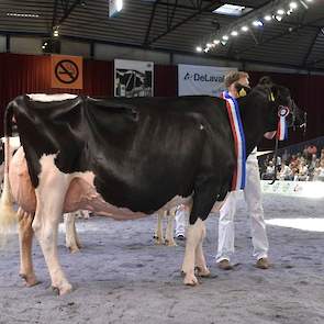 Voorop was het niveau helemaal uitzonderlijk hoog met deze fraaie Bons-Holsteins Ella 192 op kop. De Seaver-dochter was in topvorm.