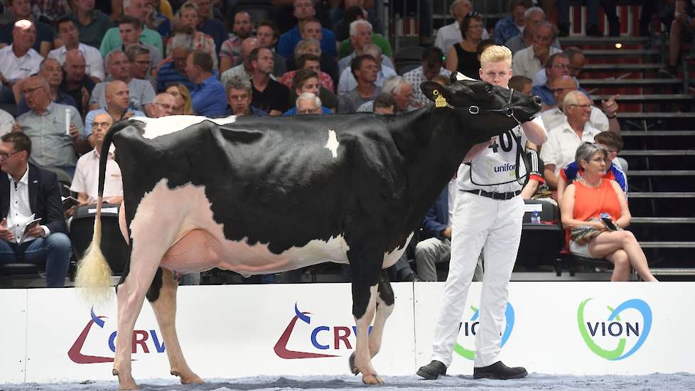 Op de tweede plaats kwam BML Dice (v. McCoy), een prachtige, evenredig gebouwde kwaliteitsvaars met een zeer goede uier van de combinatie Meijering/Van der Haar uit Den Velde.