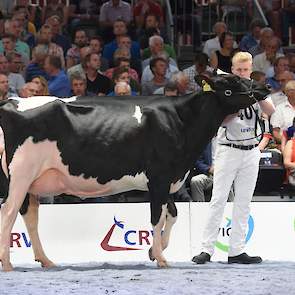 Op de tweede plaats kwam BML Dice (v. McCoy), een prachtige, evenredig gebouwde kwaliteitsvaars met een zeer goede uier van de combinatie Meijering/Van der Haar uit Den Velde.