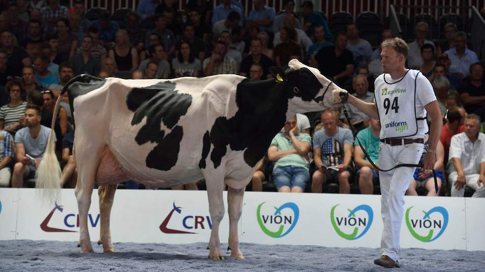 Bons-Holsteins Dikkie 189 (v. Atwood) van Bons pakte de derde plaats met haar mooie type en fijne, droge botten.