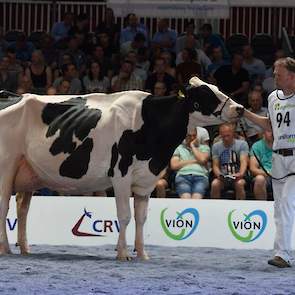 Bons-Holsteins Dikkie 189 (v. Atwood) van Bons pakte de derde plaats met haar mooie type en fijne, droge botten.