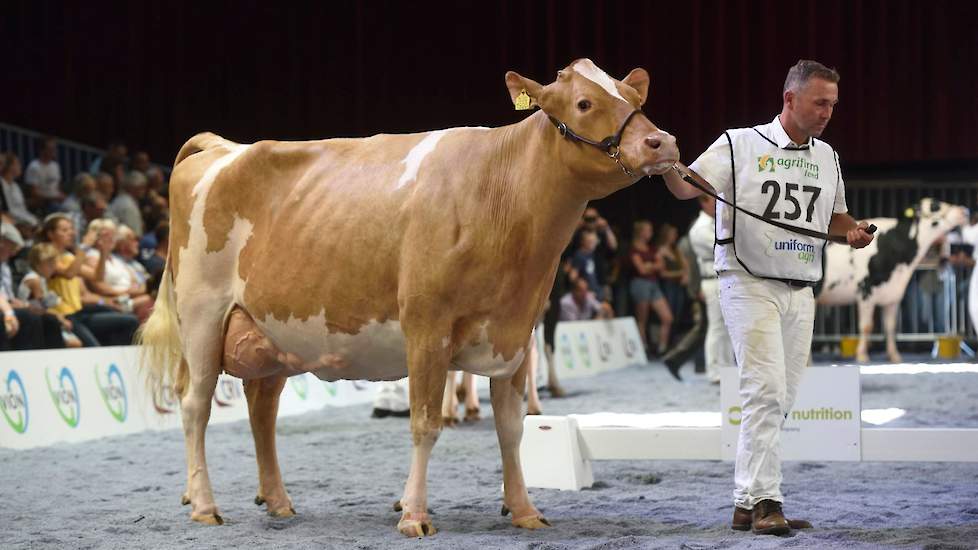 Een van de meest complete koeien op de NRM, Bossink Miranda 113 van Van der Kolk, moest vanwege haar volgens keurmeester Verstegen te royale conditie plaatsnemen op de vierde plek. Ze gaf echter op een hooirantsoen 45 kg melk per dag en wordt voorspeld op