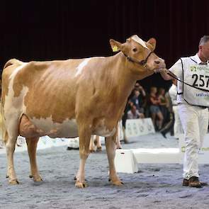 Een van de meest complete koeien op de NRM, Bossink Miranda 113 van Van der Kolk, moest vanwege haar volgens keurmeester Verstegen te royale conditie plaatsnemen op de vierde plek. Ze gaf echter op een hooirantsoen 45 kg melk per dag en wordt voorspeld op