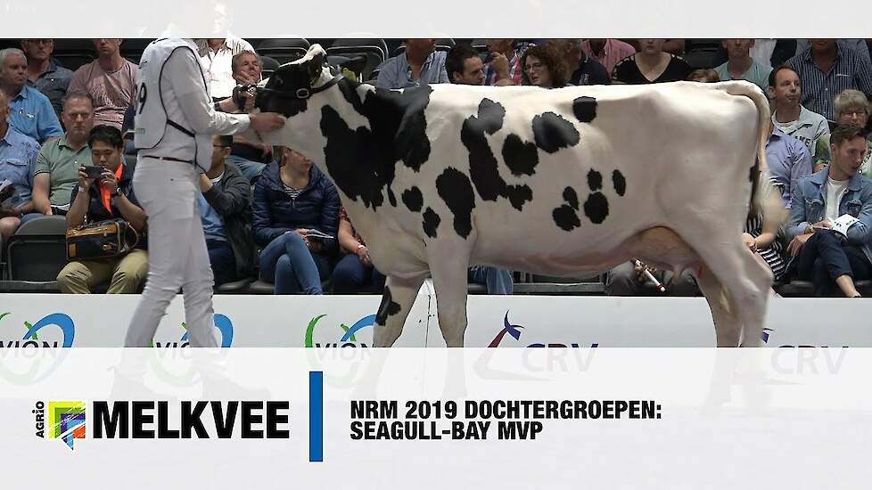 Dochtergroep Seagull-bay MVP op de NRM 2019