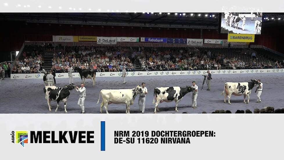 De-Su 11620 Nirvana (Mogul x Planet), ABS/Heemskerk