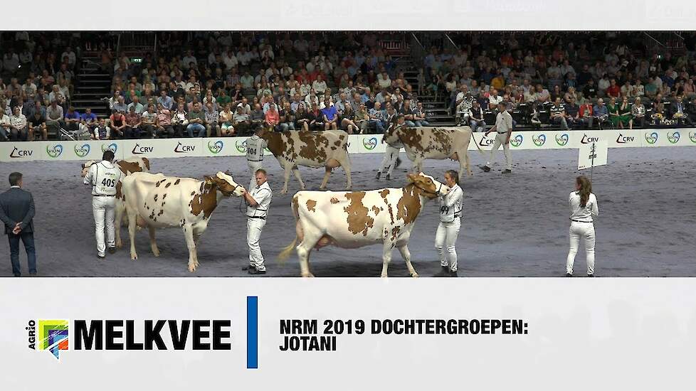 Dochtergroep Jotani op de NRM 2019