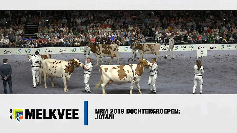 Jotani (Jotan Red x Konvoy), KI Kampen