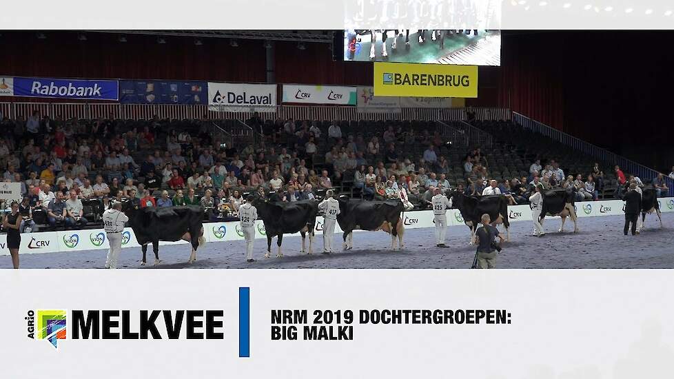 Dochtergroep Big Malki op de NRM 2019