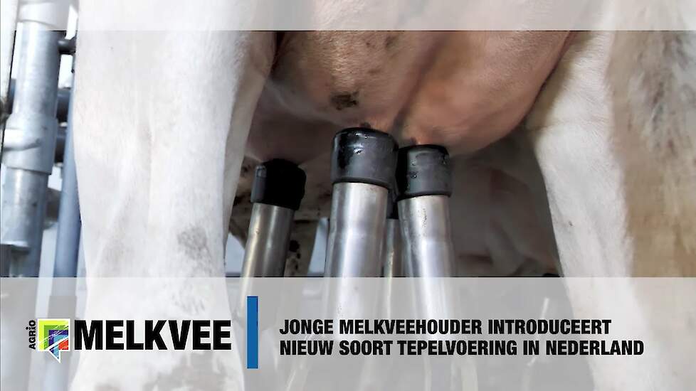 Jonge melkveehouder introduceert nieuw soort tepelvoering in Nederland