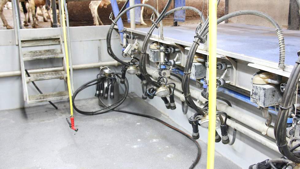 Ronald gebruikt een ouderwetse bus als dumpemmer voor melk van een koe met uierontsteking; zo wordt contact met de rest van de apparaten en het systeem voorkomen.