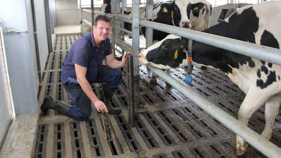 Alhoewel sommige veehouders de gootjes onder het rubber eruit hebben gehaald, heeft Ronald prima ervaringen met deze emissiearme vloer.