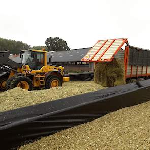 Van Zoelen is tevreden over de gemiddelde opbrengst. „Ik heb van elk perceel een aantal planten gewogen. Omgerekend kom ik op 50 ton droge stof per hectare.”