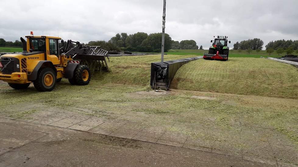 De snijmaïs is in twee kuilen tegelijk ingekuild. Daarbij werd steeds om en om twee wagens per kuil gelost. De loonwerker verdeelde de maïs met de shovel op de kuil. Van Zoelen reed zelf met een trekker met kuilwals continue mee aan. „Zo staan de shovel e