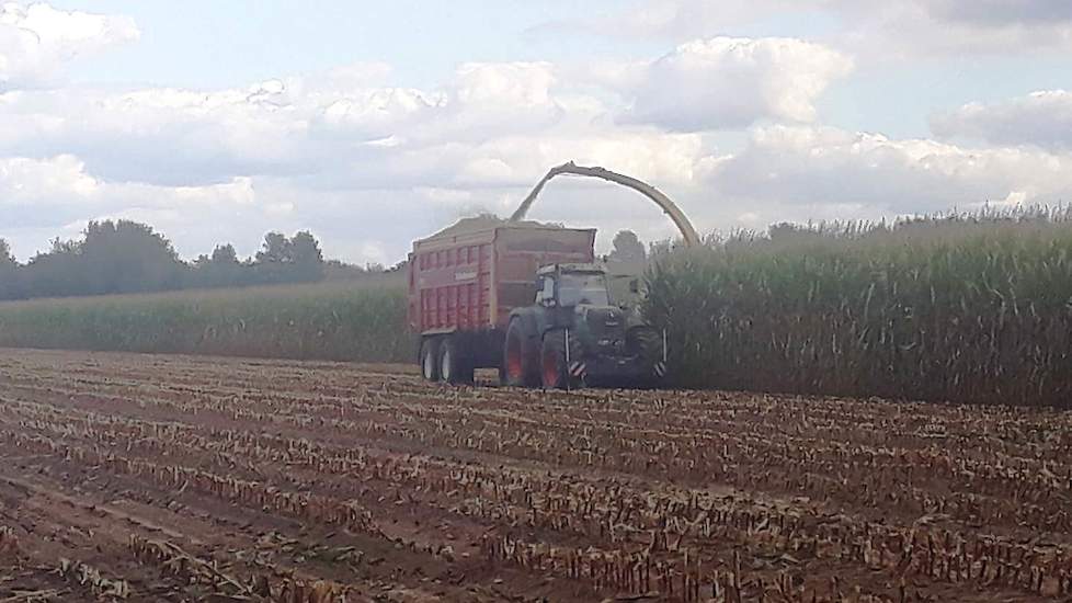 LG 31.205 in Sint Oedenrode (NB) op 19 september