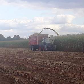 LG 31.205 in Sint Oedenrode (NB) op 19 september