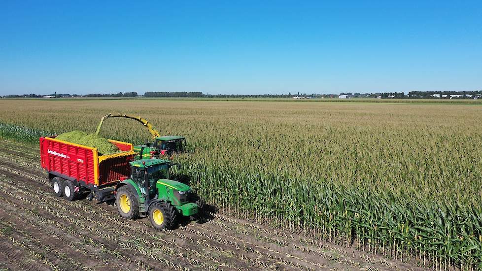 Oogst van LG 31.205 bij LG ambassadeur Jan Nieuwenhuizen in Zevenhoven (ZH), op 21 september.