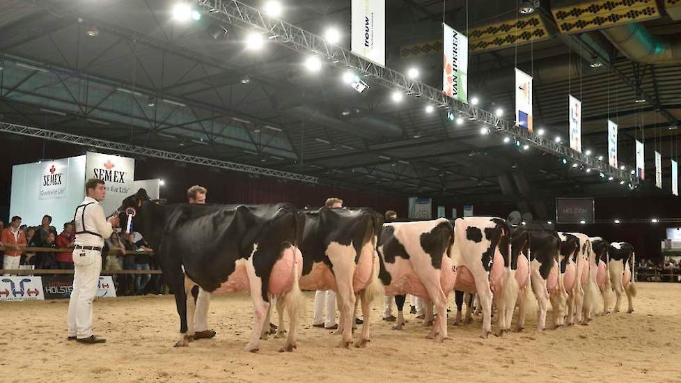 Beeld van de zwartbontkeuring op de HHH-show 2018