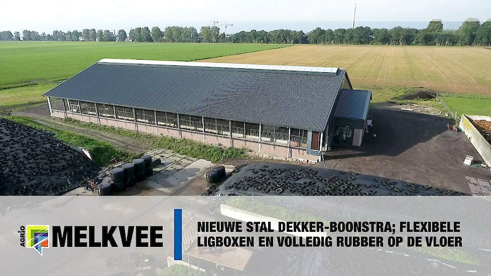 Nieuwe stal Dekker-Boonstra; flexibele ligboxen en volledig rubber op de vloer