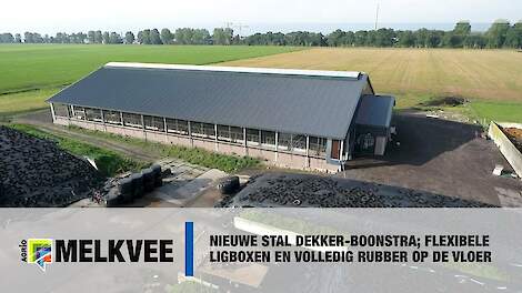 Nieuwe stal Dekker-Boonstra; flexibele ligboxen en volledig rubber op de vloer