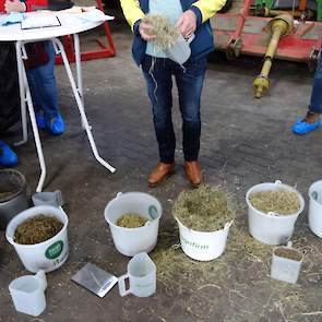 De Kleijne had emmers met natuurhooi, goed hooi, luzerne, melkveerantsoen, kalverbrok en structuurbrok klaar staan.