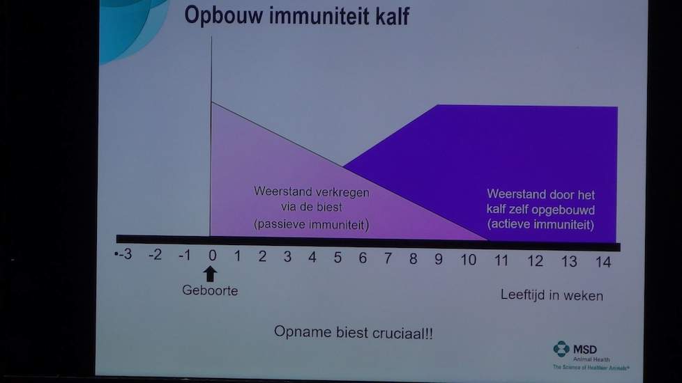 En hij toonde een grafiek over de weerstand. „Wat je als veehouder kunt doen, is het roze gedeelte op dag 0 zo hoog mogelijk zien te krijgen.”