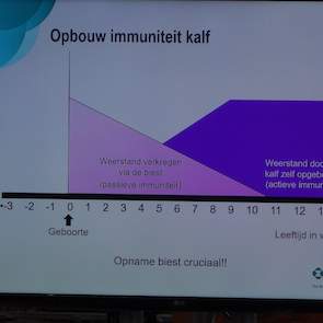 En hij toonde een grafiek over de weerstand. „Wat je als veehouder kunt doen, is het roze gedeelte op dag 0 zo hoog mogelijk zien te krijgen.”