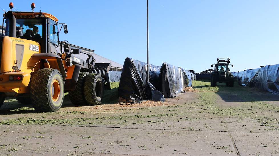 De 2 silagewagens lossen om en om in 2 sleufsilo’s. De mais wordt verdeeld met de shovel en wordt daarna nog verder aangereden met een tractor van Jan.