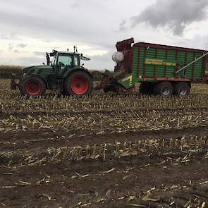 De veehouder reed zelf mee met een dubbeldoelwagen. Ook het aanrijden werd in eigen beheer gedaan. De loonwerker hakselde de maïs en reed ook met een silagewagen de maïs aan de bult.