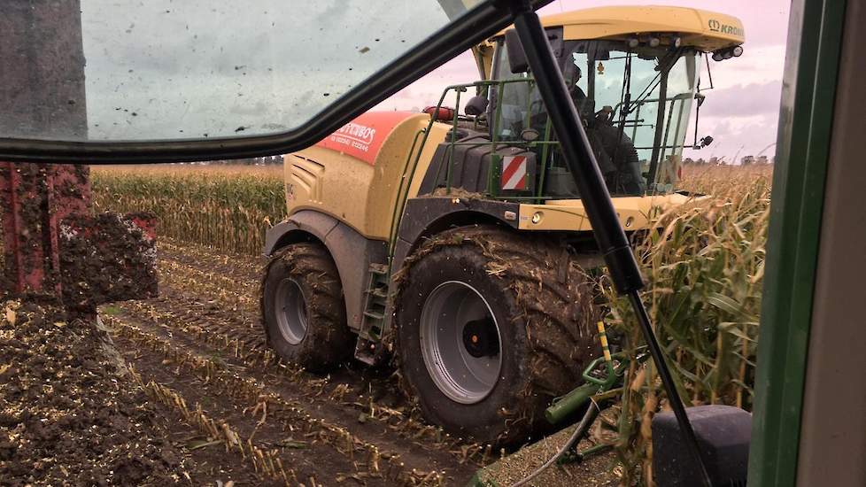 Bos schat de opbrengst rond de 55 ton bij ongeveer 38 procent drogestof. De opbrengst is iets lager dan vorig jaar, toen ruimschoots 60 ton van een hectare werd gehaald. De voederwaarde verwacht de veehouder veel van. „Ik denk toch zeker 1.000 VEM en 400