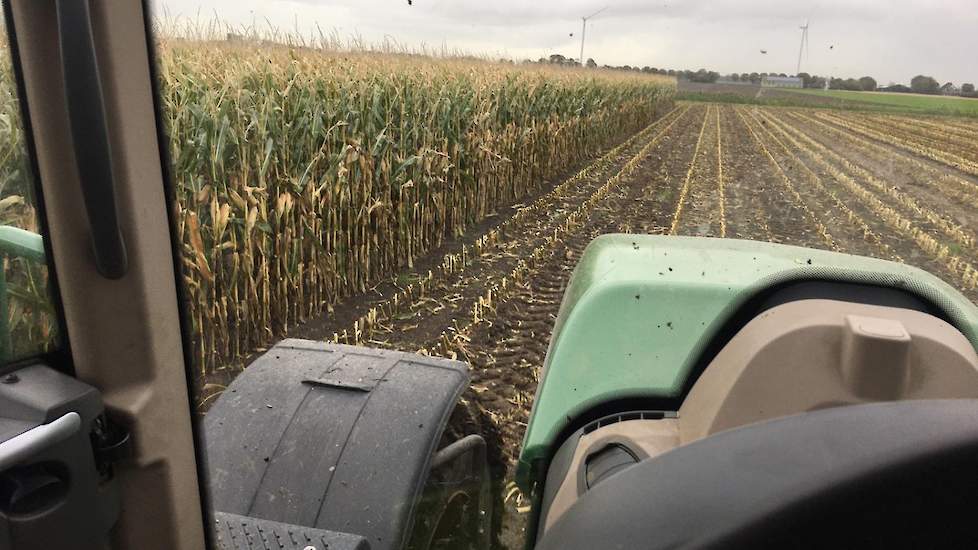 Het land goed begaanbaar. „Tot een uur of 11 was het droog. Daarna begon het licht te regenen. Daardoor werd de grond wat vettig. Maar desondanks konden we de maïs er prima af krijgen", aldus de maïsteler.