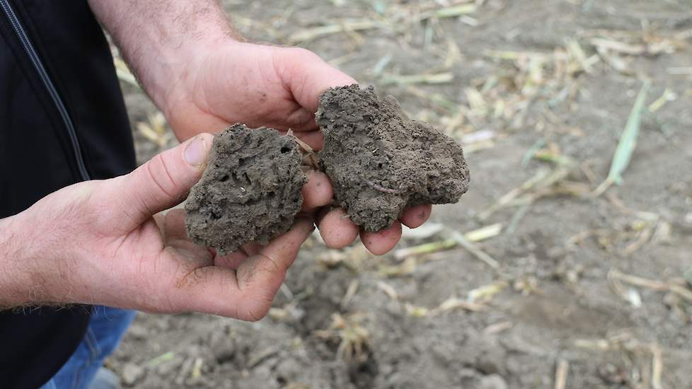 Zuinig zijn op de grond en aandacht voor organische stof zorgt voor een hele mooie en goed bewerkbare grond.