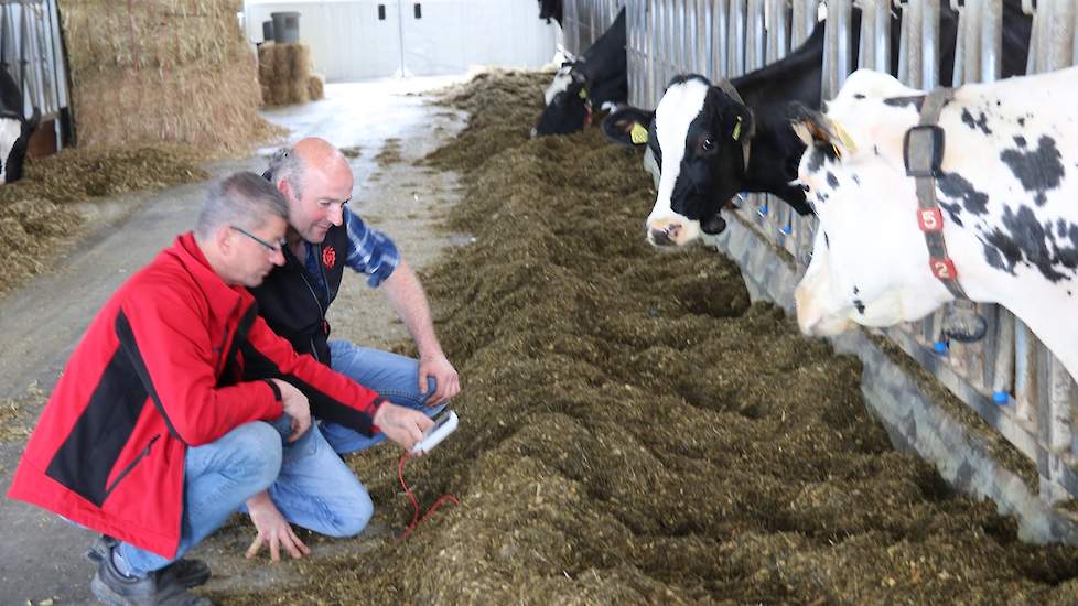 Er ligt dan ook een fris, smakelijk en energierijk rantsoen dat gretig wordt opgenomen voor het voerhek.