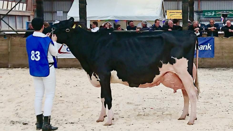 Seniorenkampioene Topcross Anna 253 van de familie Jacobi.