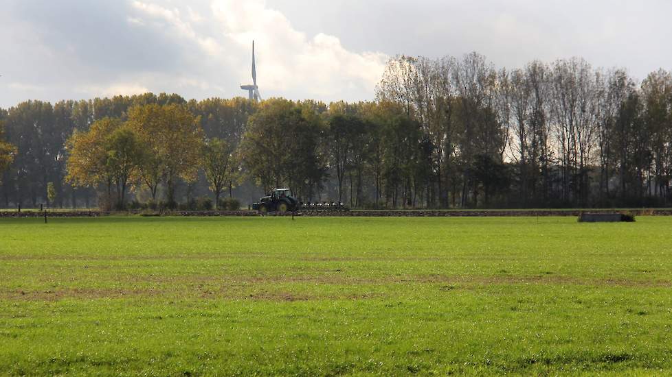 De meeste percelen ploegt Maatschap Simmes in de hoop dat deze bewerkingen helpen. Frank Simmes heeft geen idee hoe ze de plaag kunnen oplossen. Bovendien is hier geen water om te bevloeien, aldus Simmes. In Vee & Gewas van zaterdag 9 november staat het h