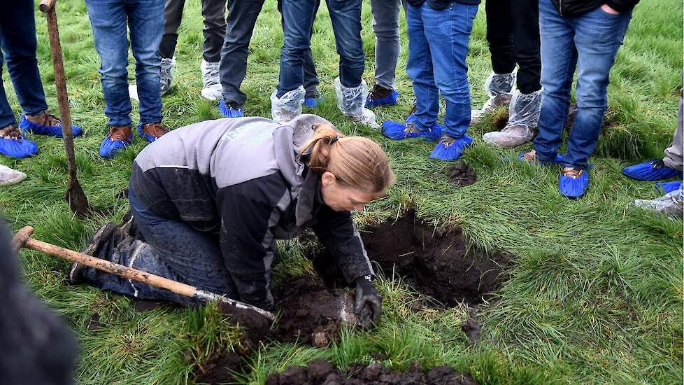Topkuil evenement; Topbodem, Topgras, Topvoer
