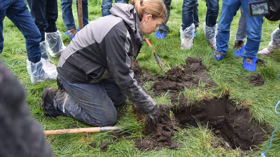 OCI Agro Topkuil 7 november 2019 melkveebedrijf Van Norel-Buurkes Oosterwolde