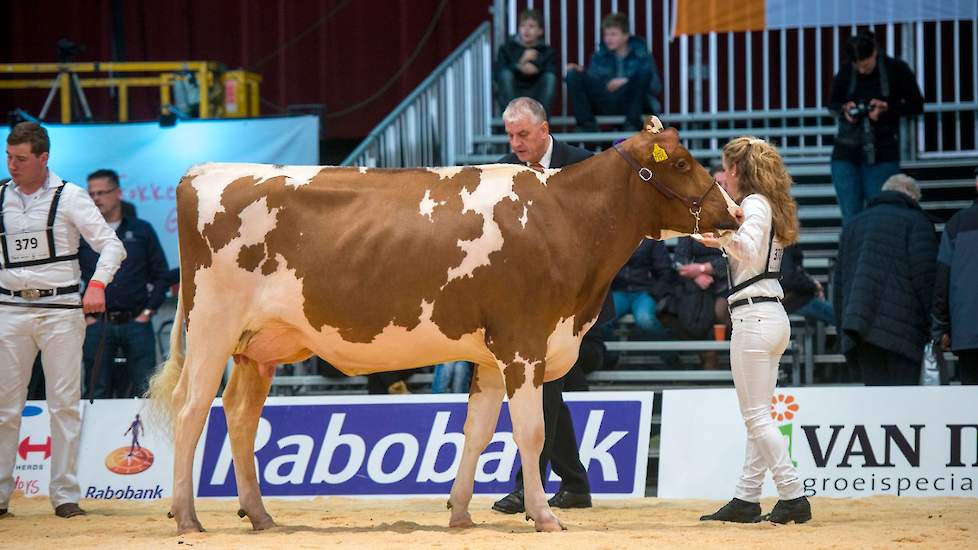Sfeerbeeld van de HHH-show in 2017.