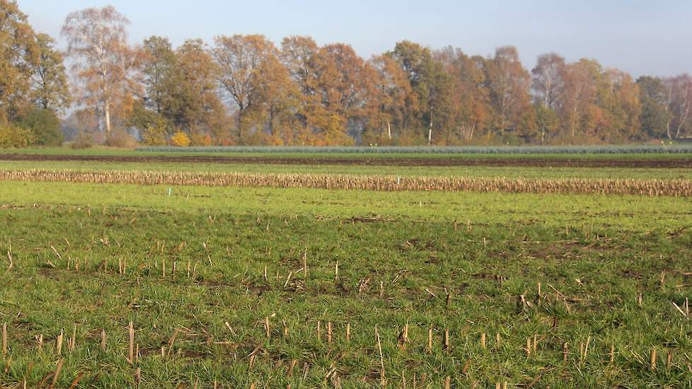 Bijna 80 procent van de loonwerkers zegt te hebben geïnvesteerd in machines voor gelijk-, onder- en nazaai.