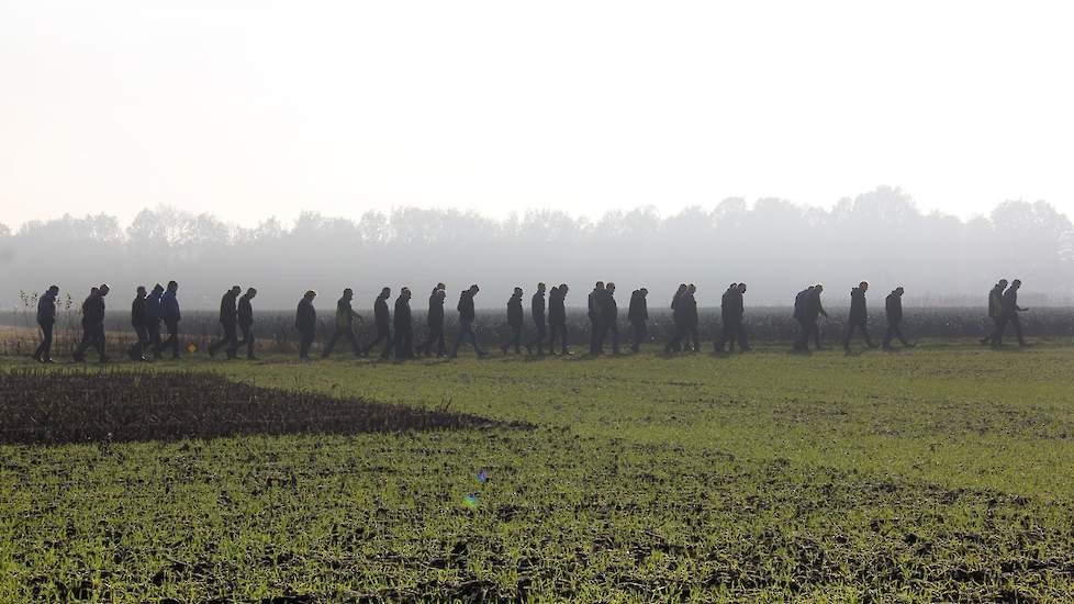 Aandachtspunt van gelijkzaai kan een lagere maïsopbrengst zijn. Bij onderzaai is onkruidbestrijding lastig. Bij nazaai is de maïsoogst voor 1 oktober een zorg. Uit de enquête onder telers bleek dat de concurrentie met de mais bij onderzaai nauwelijks een