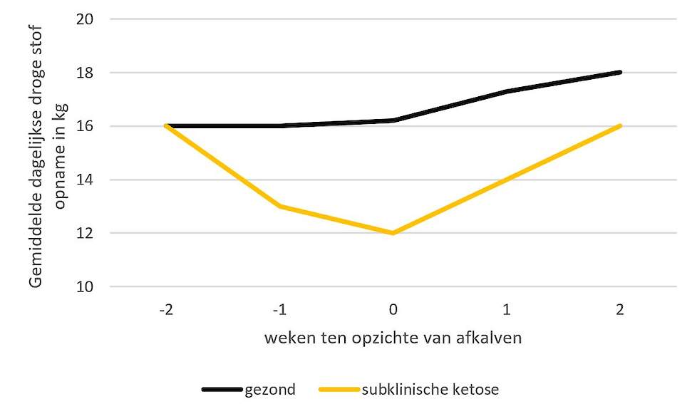 Droge stof opname in de transitieperiode van gezonde koeien ten opzichte van koeien met subklinische ketose. Naar figuur van Goldhawk et al., 2009.